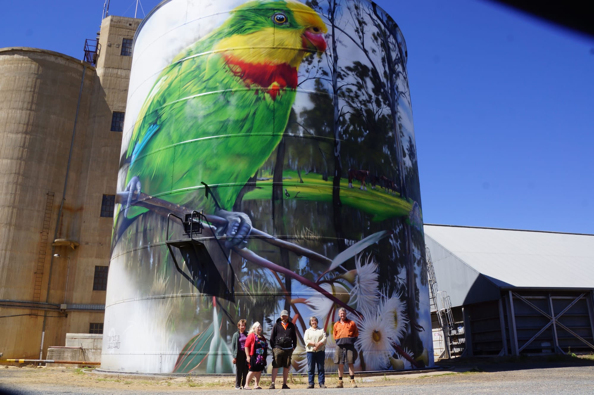 Unbelievable ... Members of the PDIG with DVate after the mural was finished (from left) Joan Theyers, Bronwyn Ryan, Jimmy DVate, Jeanette Holland and Ian Lubke.