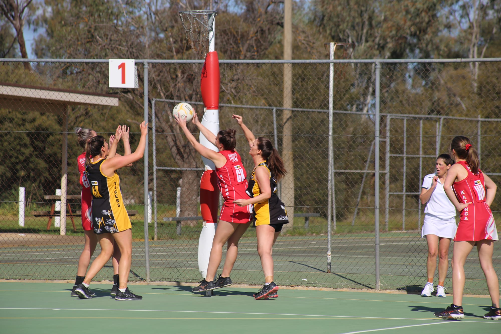 Full stretch... Sarah Weideman jumps for a ball in the goal ring.