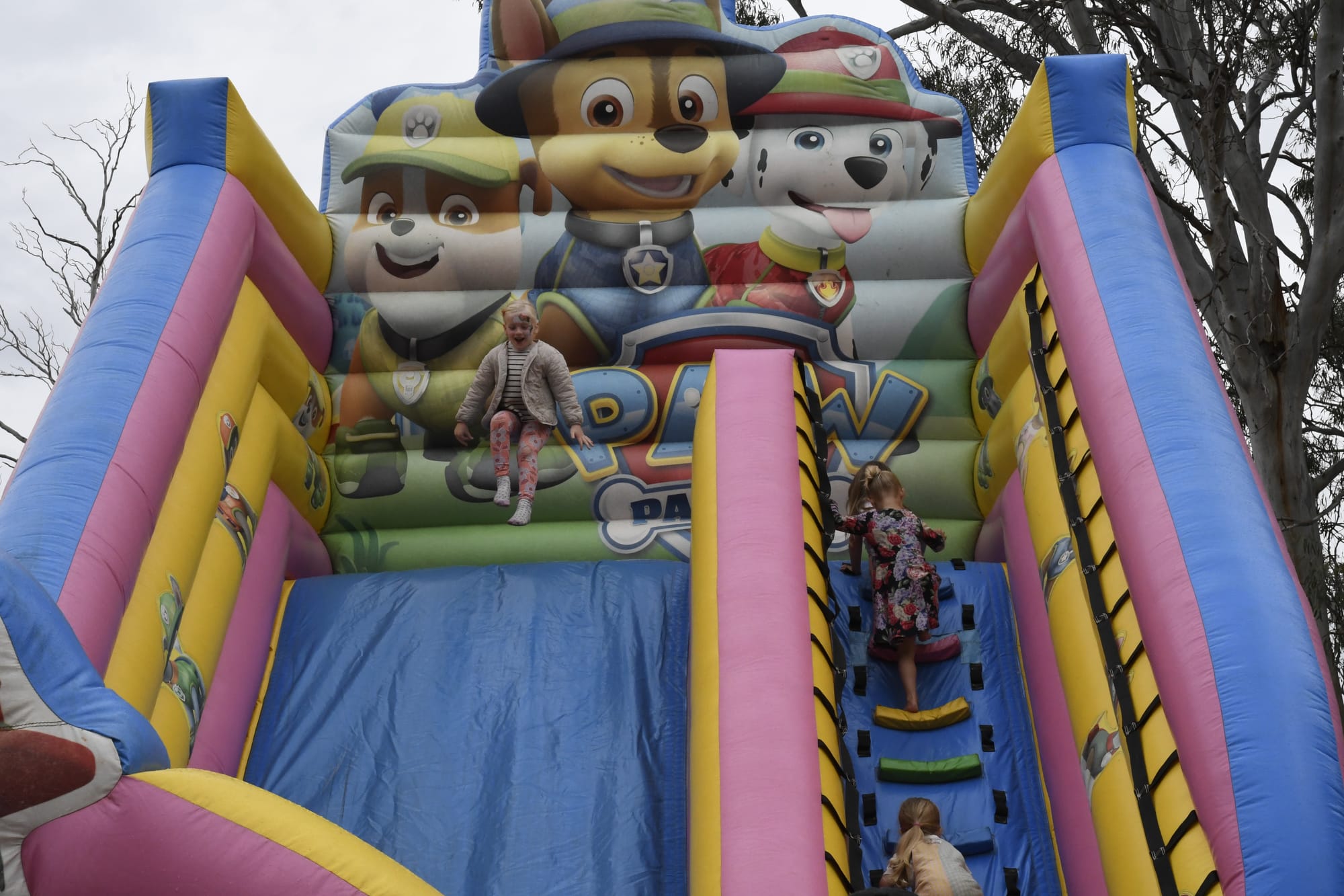 Fun for everyone... The Paw Patrol giant slide proved a hit with the little ones. 