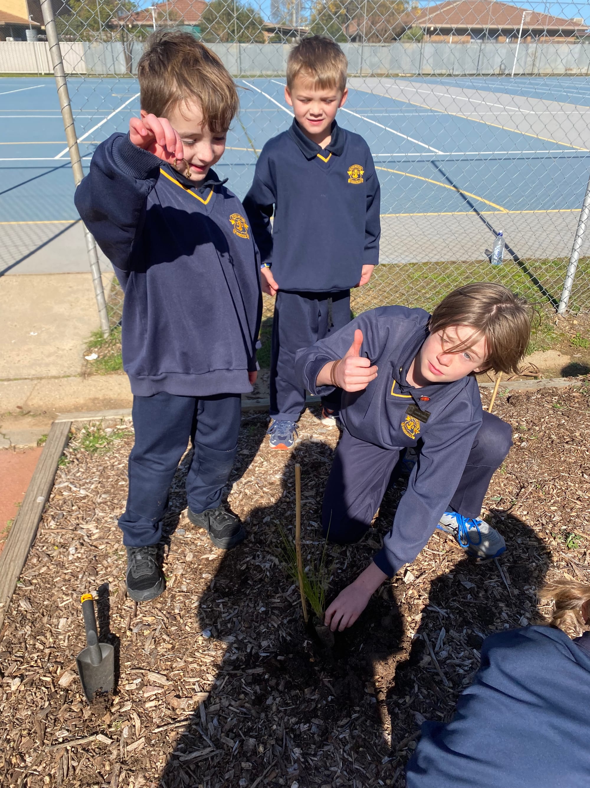 Getting their hands dirty ... (From left): Parker Patching, Billy Hicks and Andrew Barnden proud of the worm they found. 