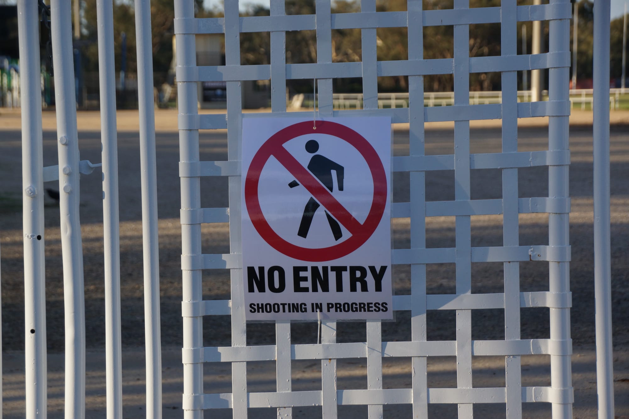 Stay away ... The corella cull will continue at the rec reserve until the birds get the message.