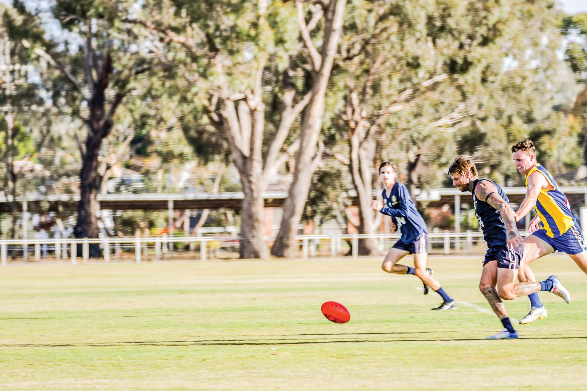 In pursuit ... Shane Miller hunts the ball while under pressure. (Back page I reckon)
