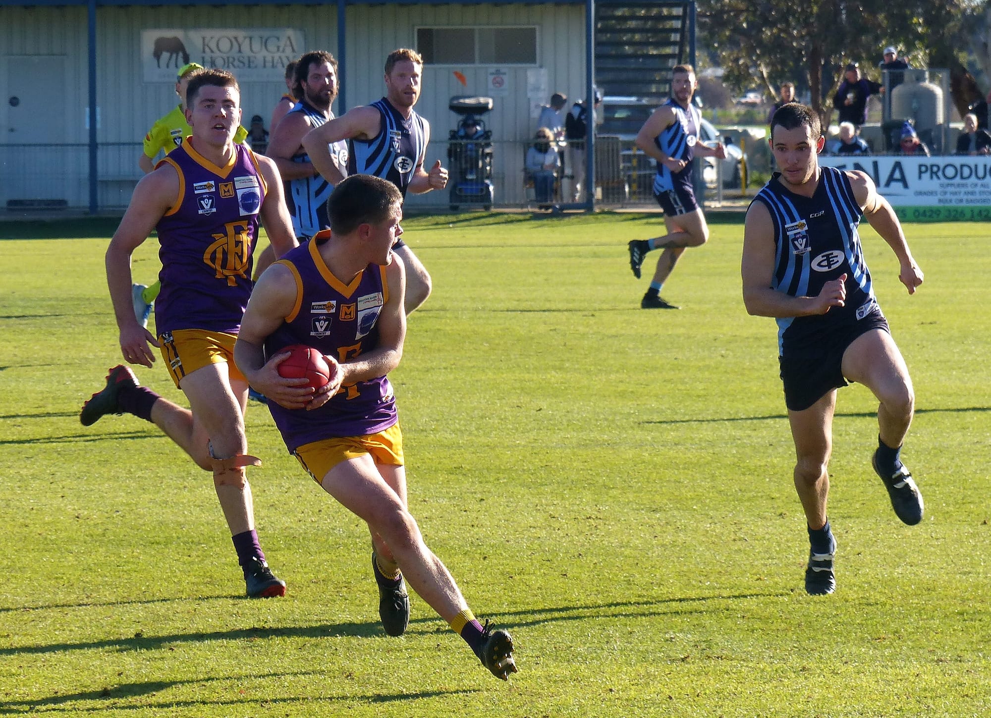 Composure ... Tom Nihill assesses his options under pressure.