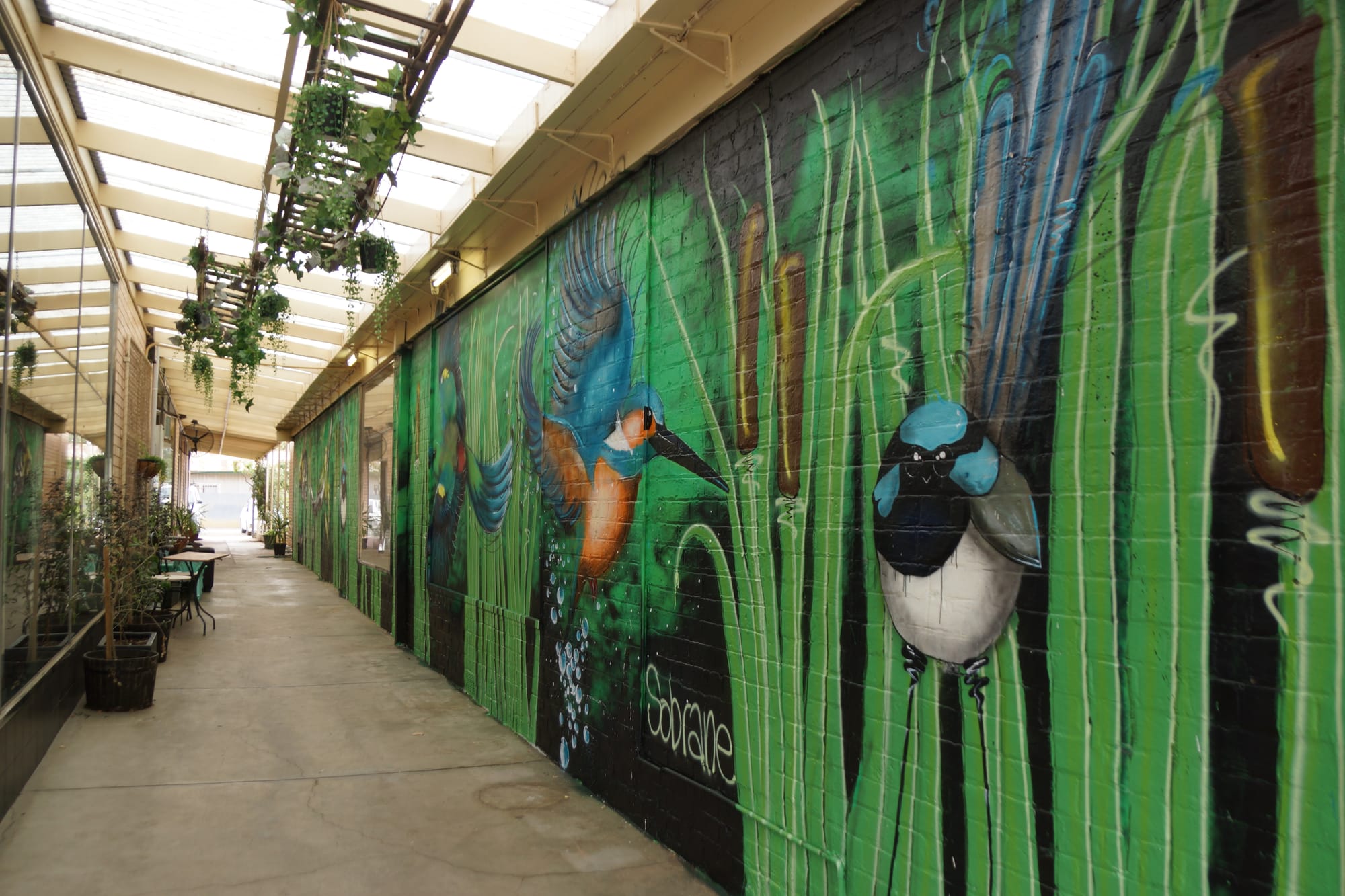 Finished ... By Monday afternoon the formerly blank 20 metre wall was covered in magnificent colour.