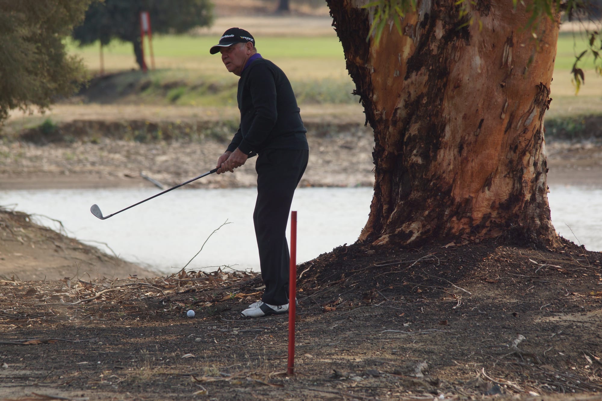 One of two ... John Smith surveys a shot out of the rough during his pennant match on Sunday.