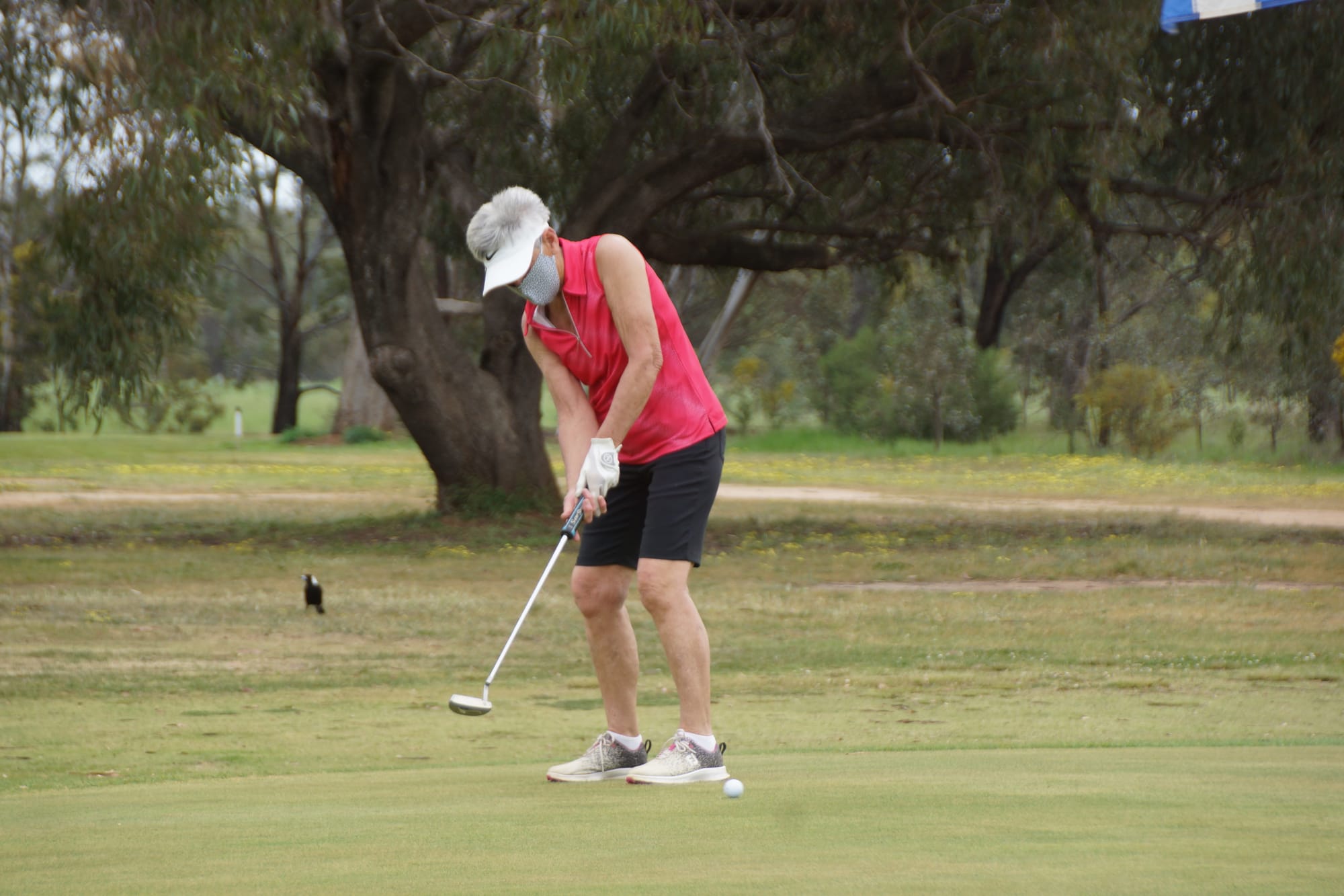Just my length ... Despite some trouble with her putter, Lauris Ashton had a terrific score to win the sponsor’s shirt on Saturday.