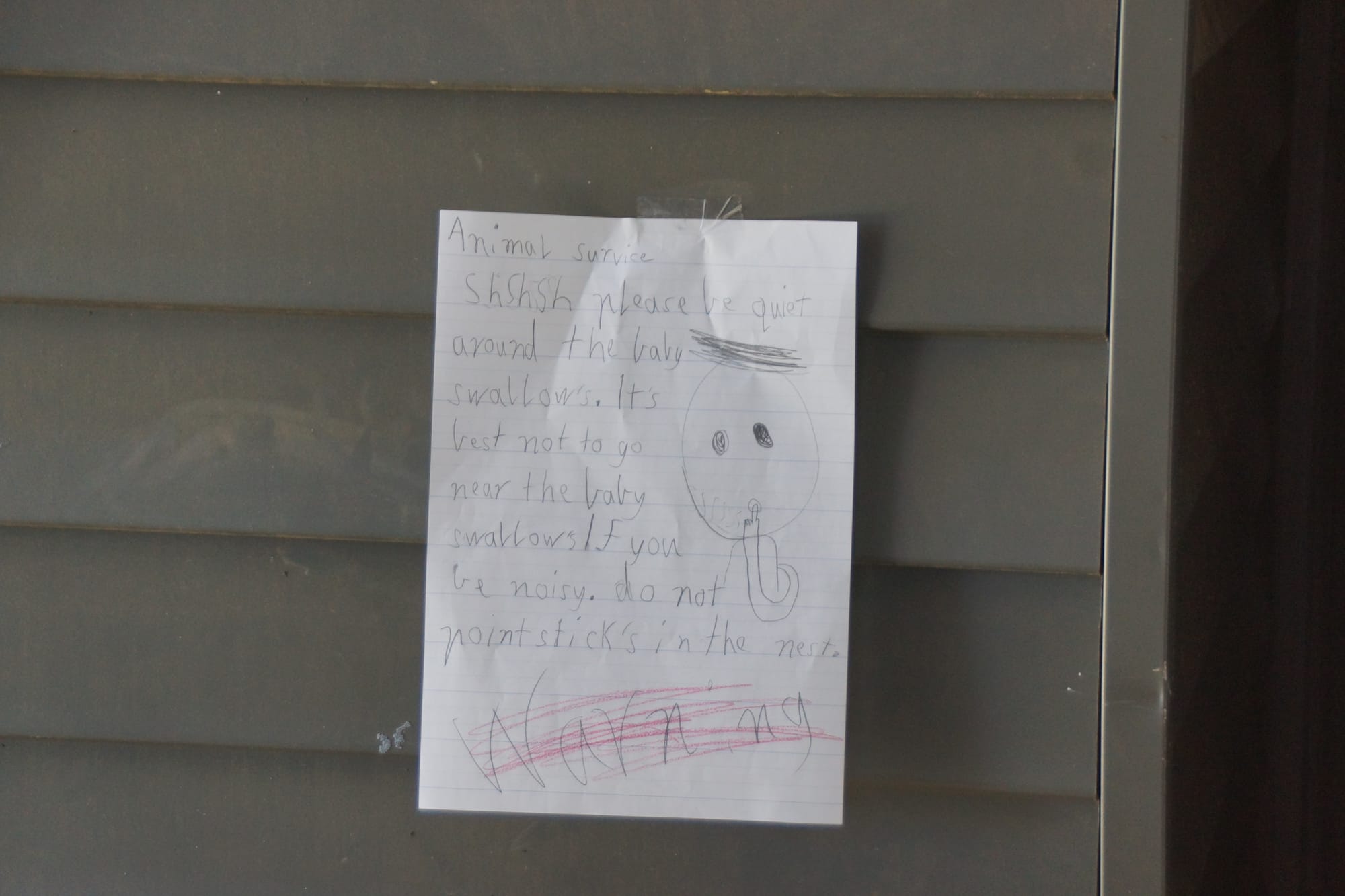 Spreading the word... The Katunga PS wildlife warriors have produced posters to make sure everyone understands the need to give the birds space.
