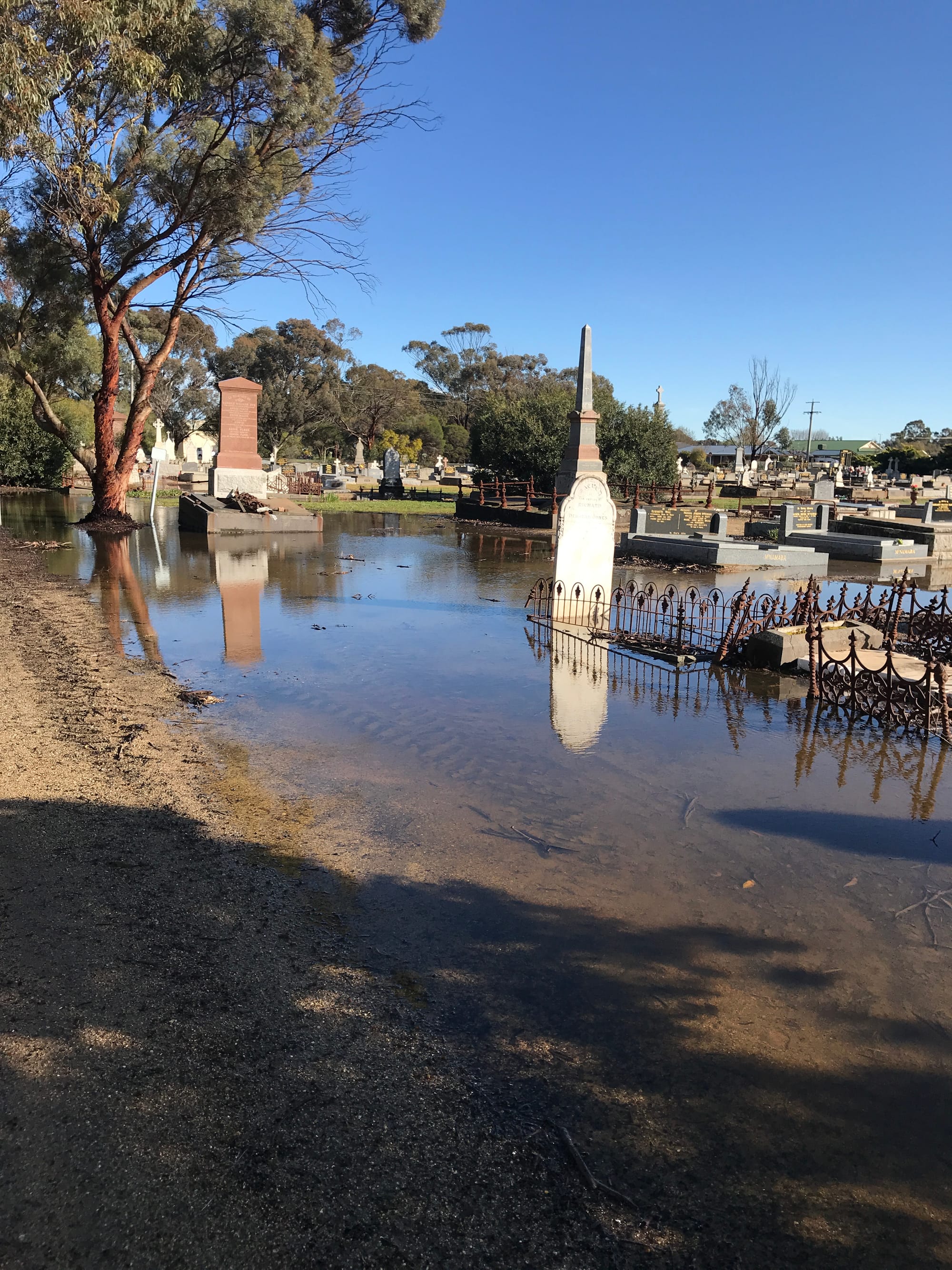 At risk ... Water pooling at the cemetery following heavy, or prolonged, rain poses a threat to the footings of the graves. 


