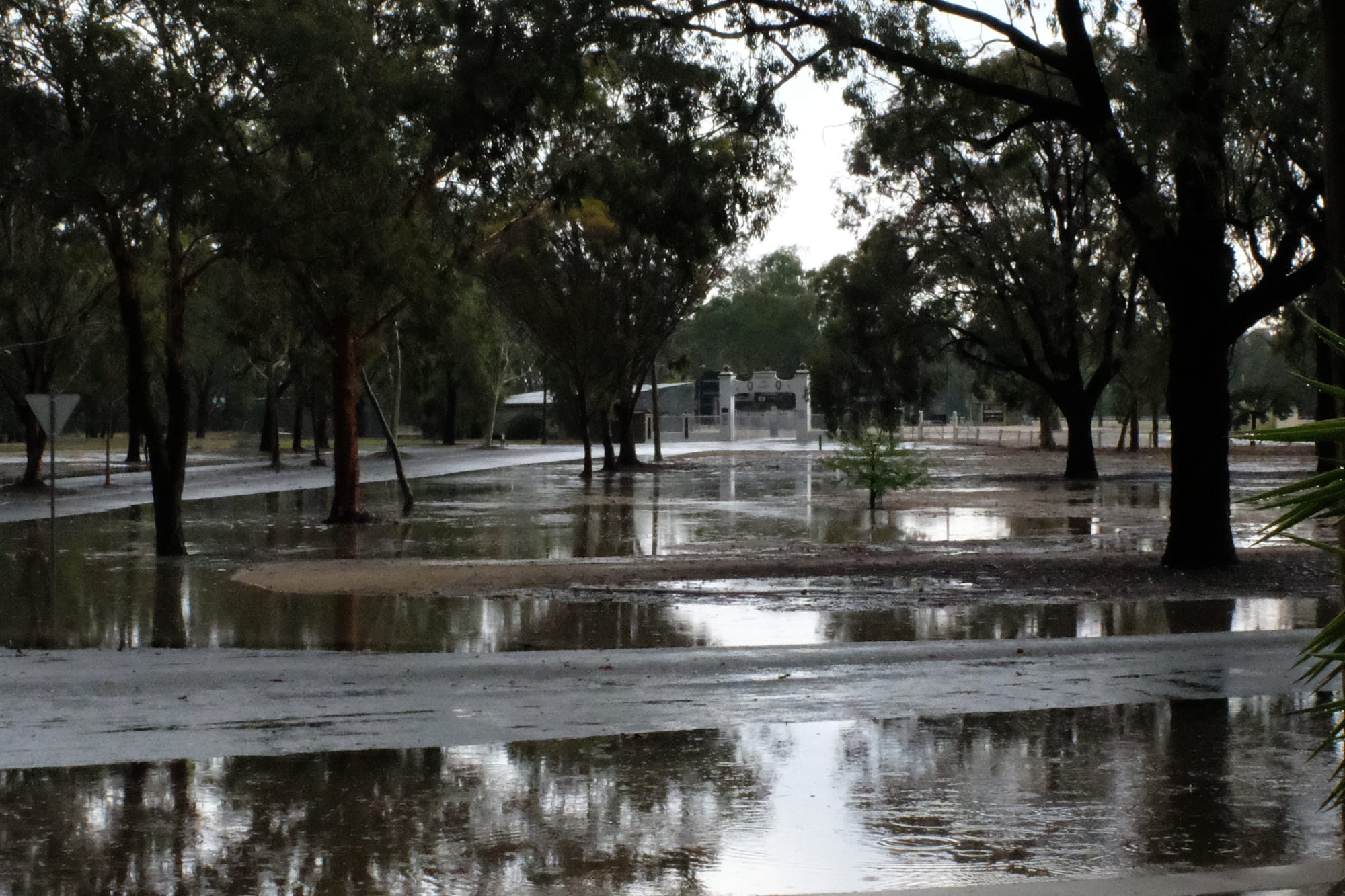A sight not seen in a long time ... There was so much rain on Sunday that actual puddles formed. 