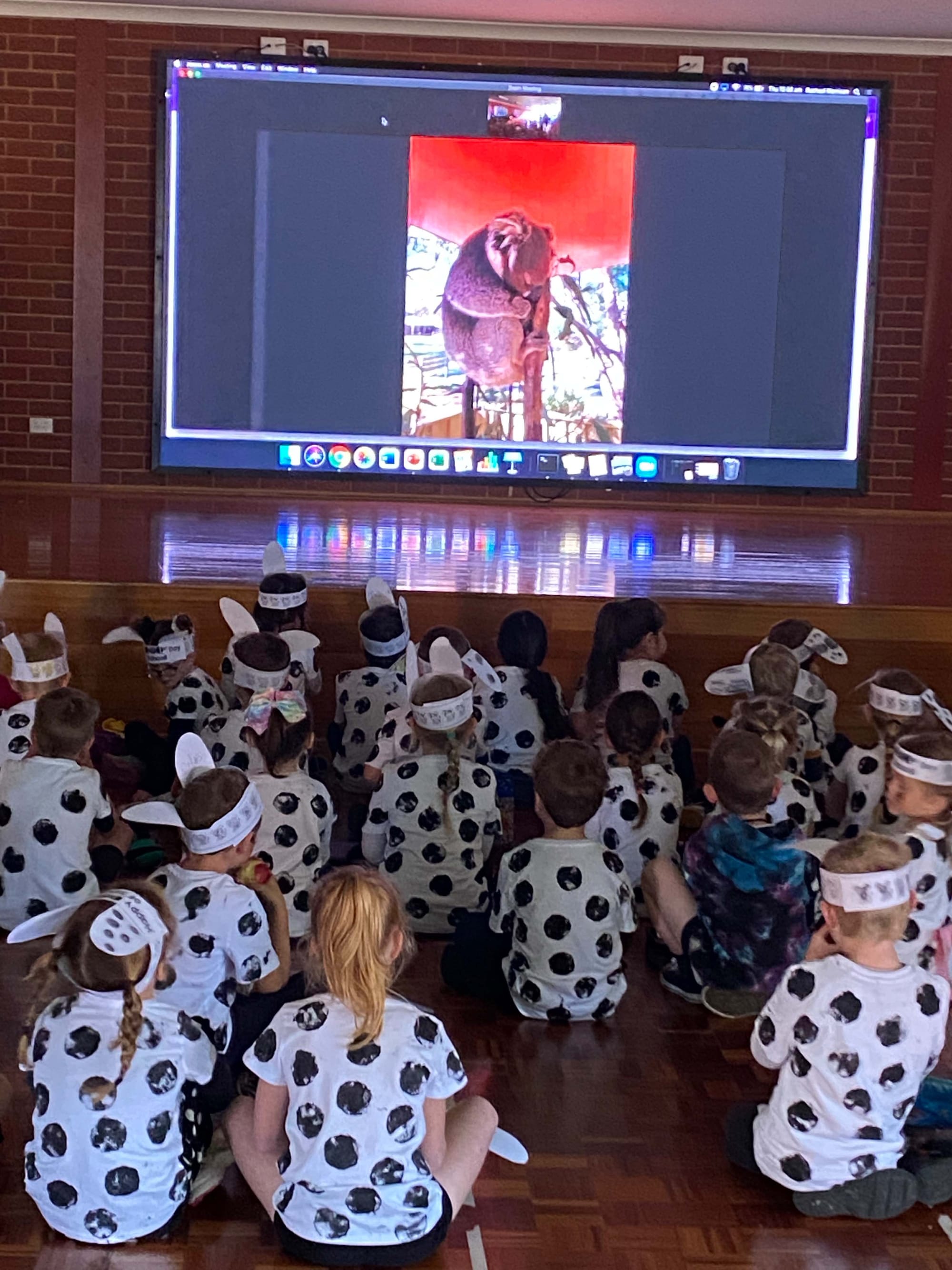 Real koala in a virtual world... The prep class of 2021 are old hands at virtual learning and had plenty of questions during their virtual tour of Kyabram Fauna Park. 
