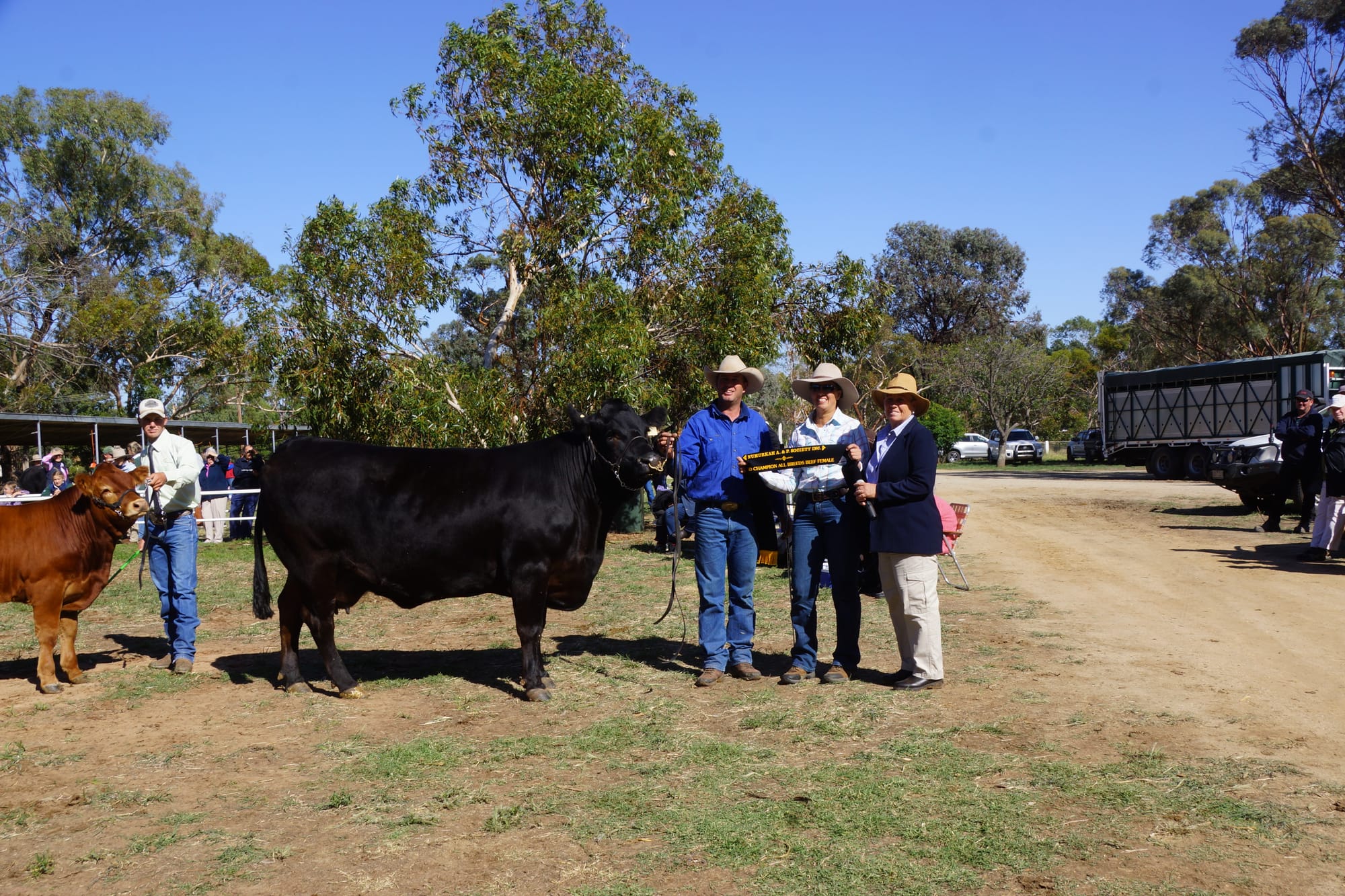 Grand champion ... Grand Champion cow Progress Collies Magic with Peter Kylstra, sponsor Rebecca Humphries from Eureka Park Bragus, Tallygaroopna and judge Kathy Eden from South Gippsland.