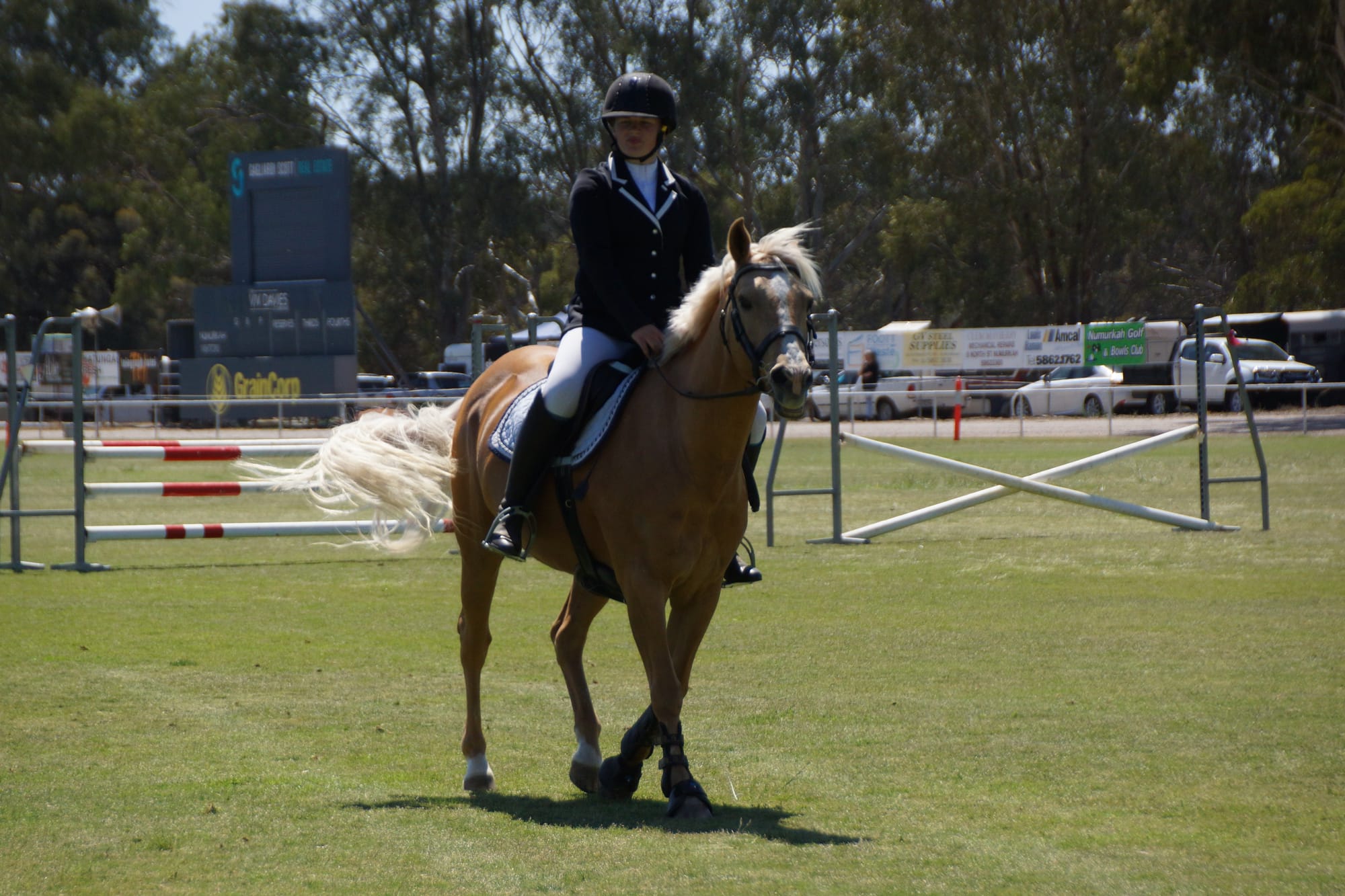oy ride ... It was a beautiful day to compete for both horse and rider in the show-jumping.