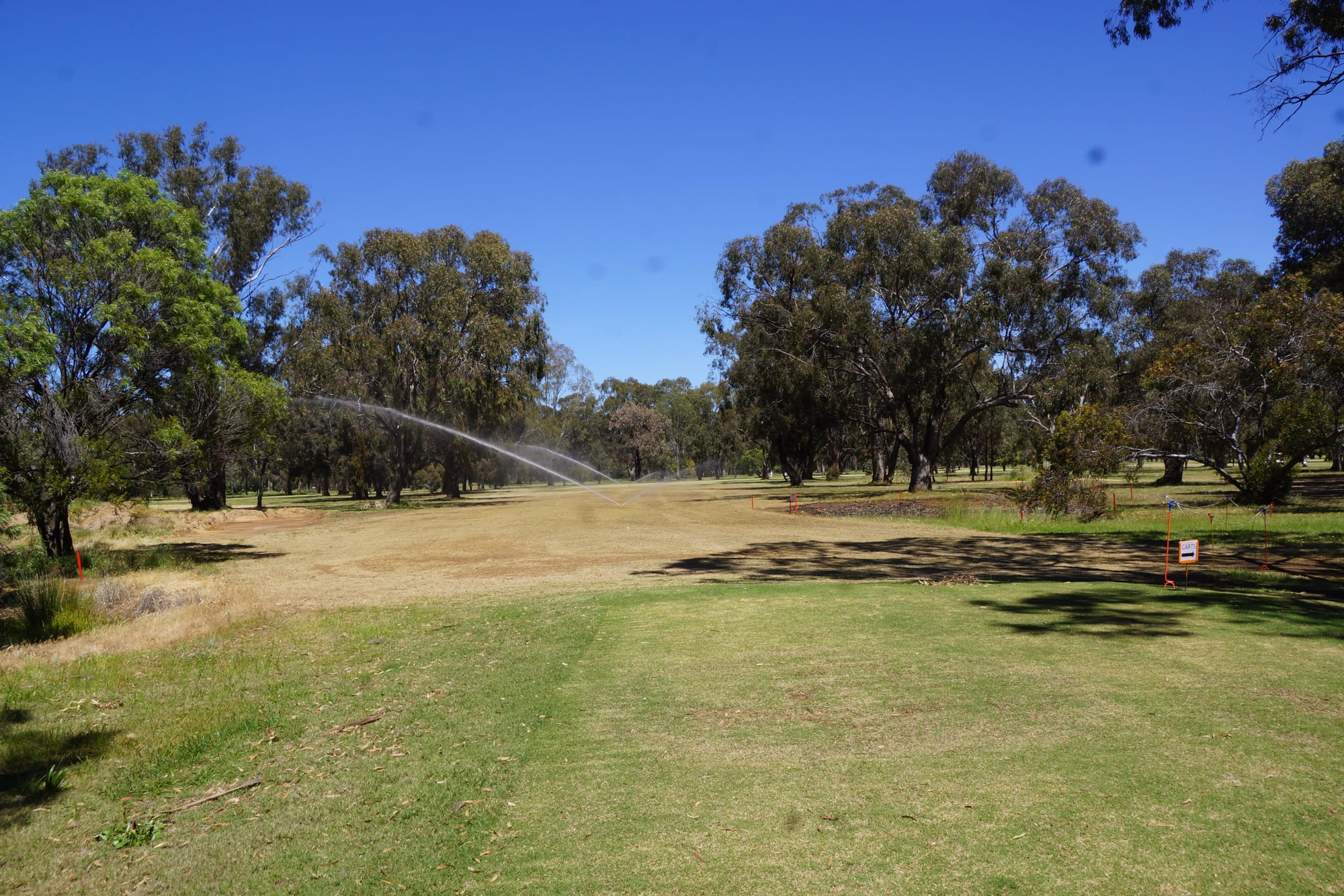 In the works... This is the view from the 14th, where the fairway has been extended by about 150 metres. 
