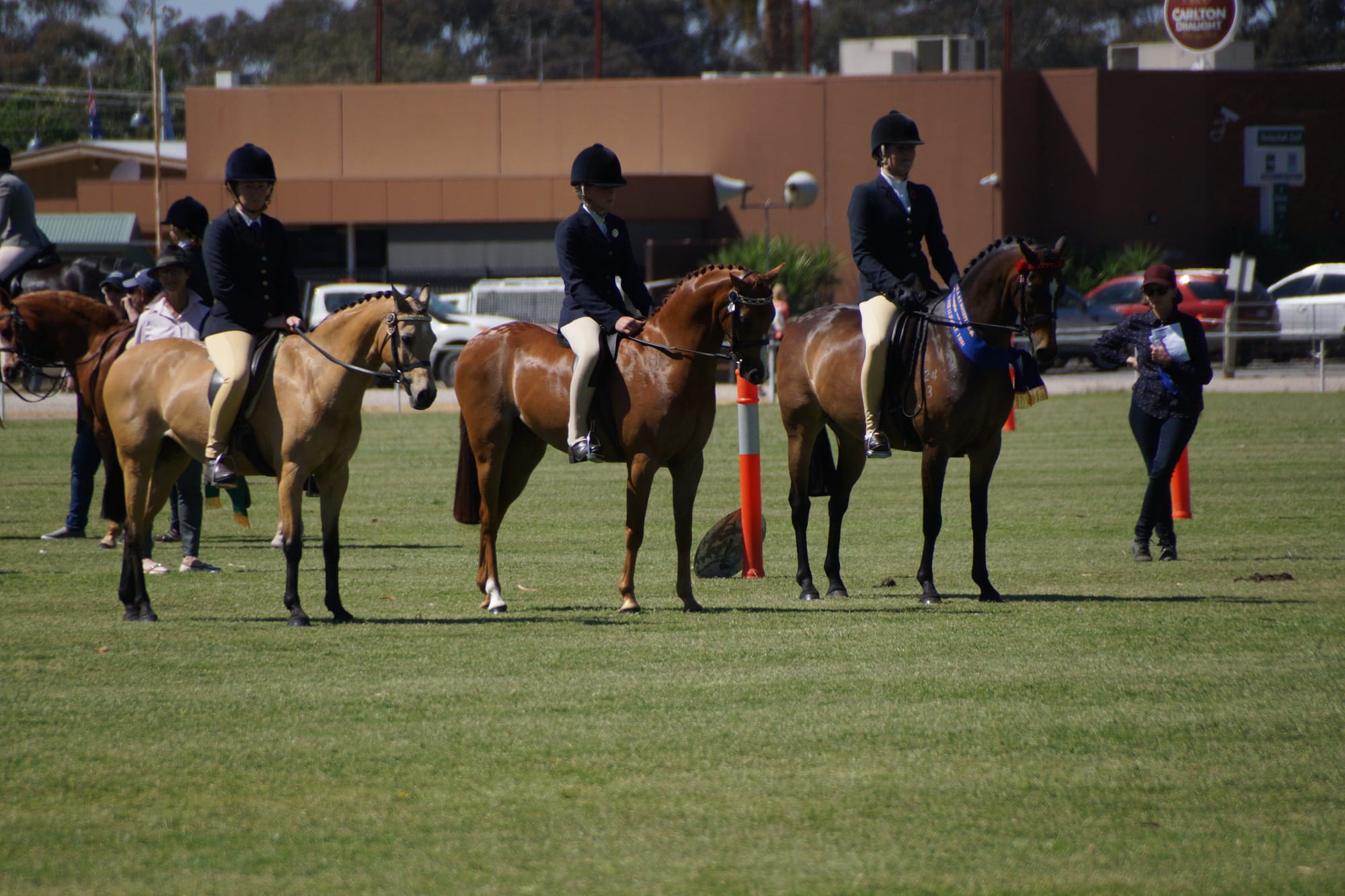Dressage ... Competitors wait their turn to show off their skills on their beautifully groomed steeds.