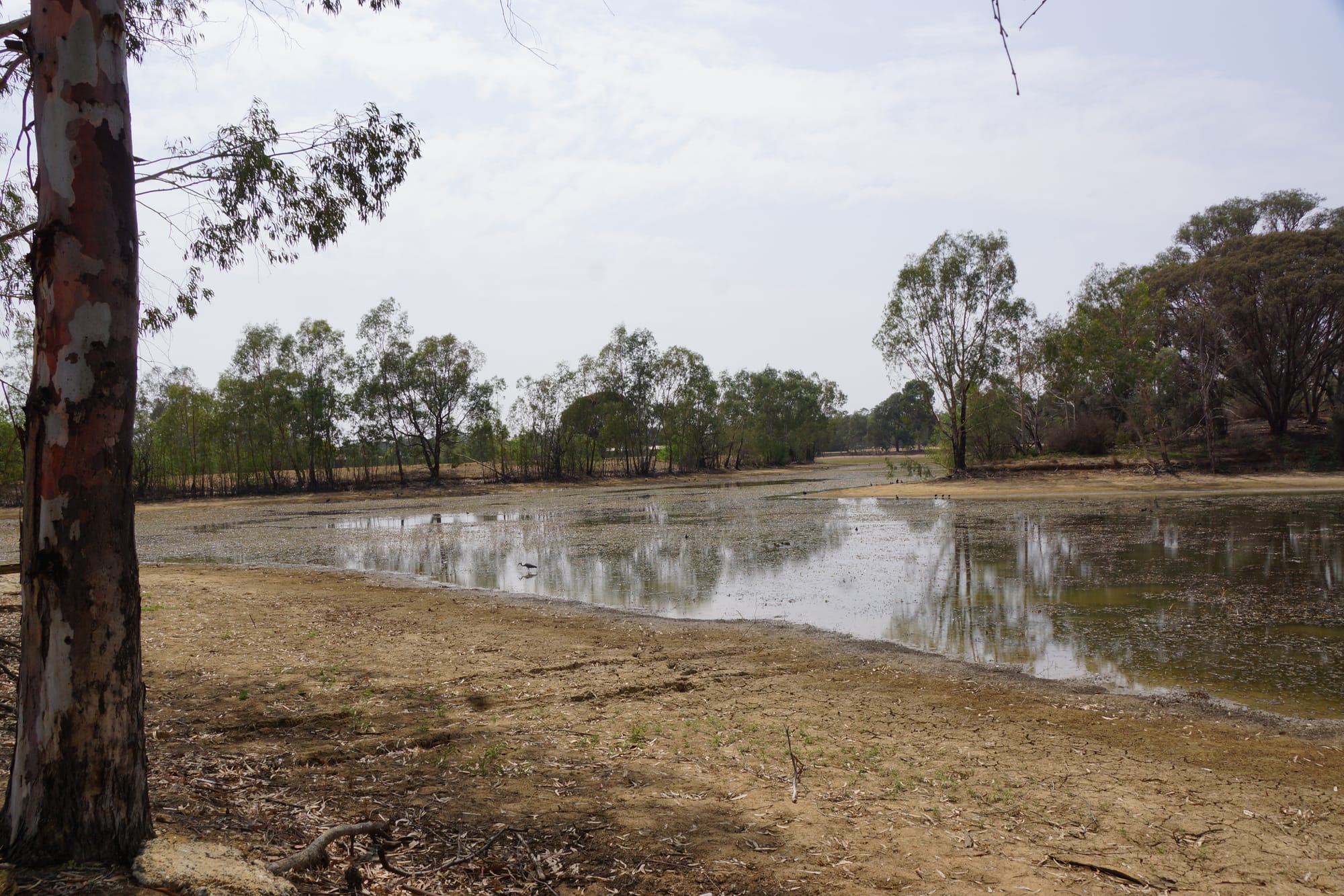 Lake to run dry for its own good