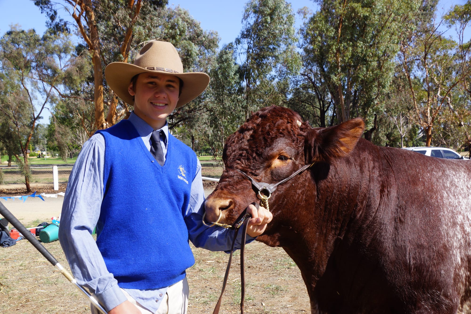 A good day at school ... Hugh Burton with Finley High School Percy, a 17 month old Shorthorn.