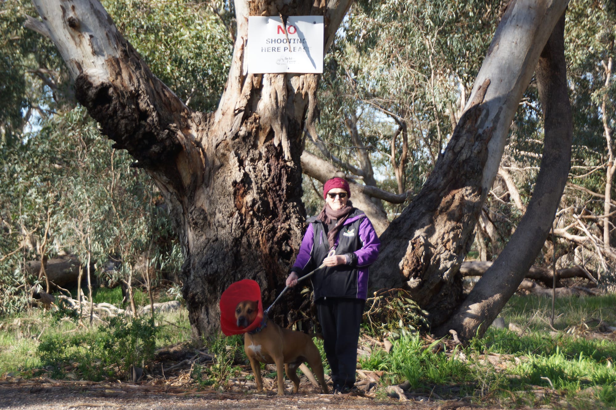 No shooting here please ... Fay Scadden and Boy at a warning sign a few hundred metres from the boarding kennels. 