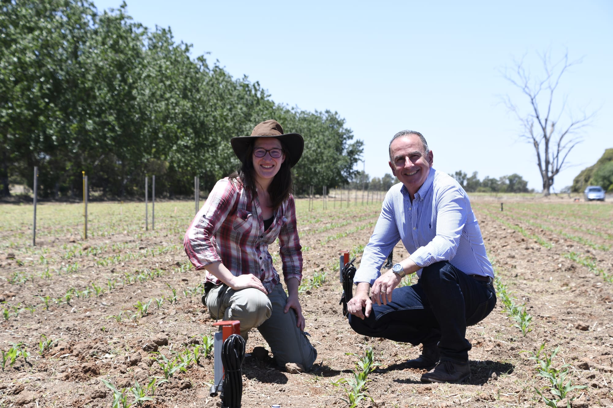 All grow at AgBioEn site