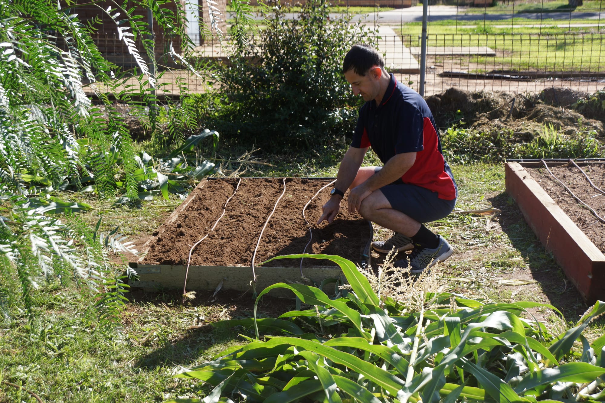Keeping busy and safe ... Cameron Allert, who is one PALS client visiting the centre on a roster system, makes sure the vege garden doesn’t get neglected during lock-down.