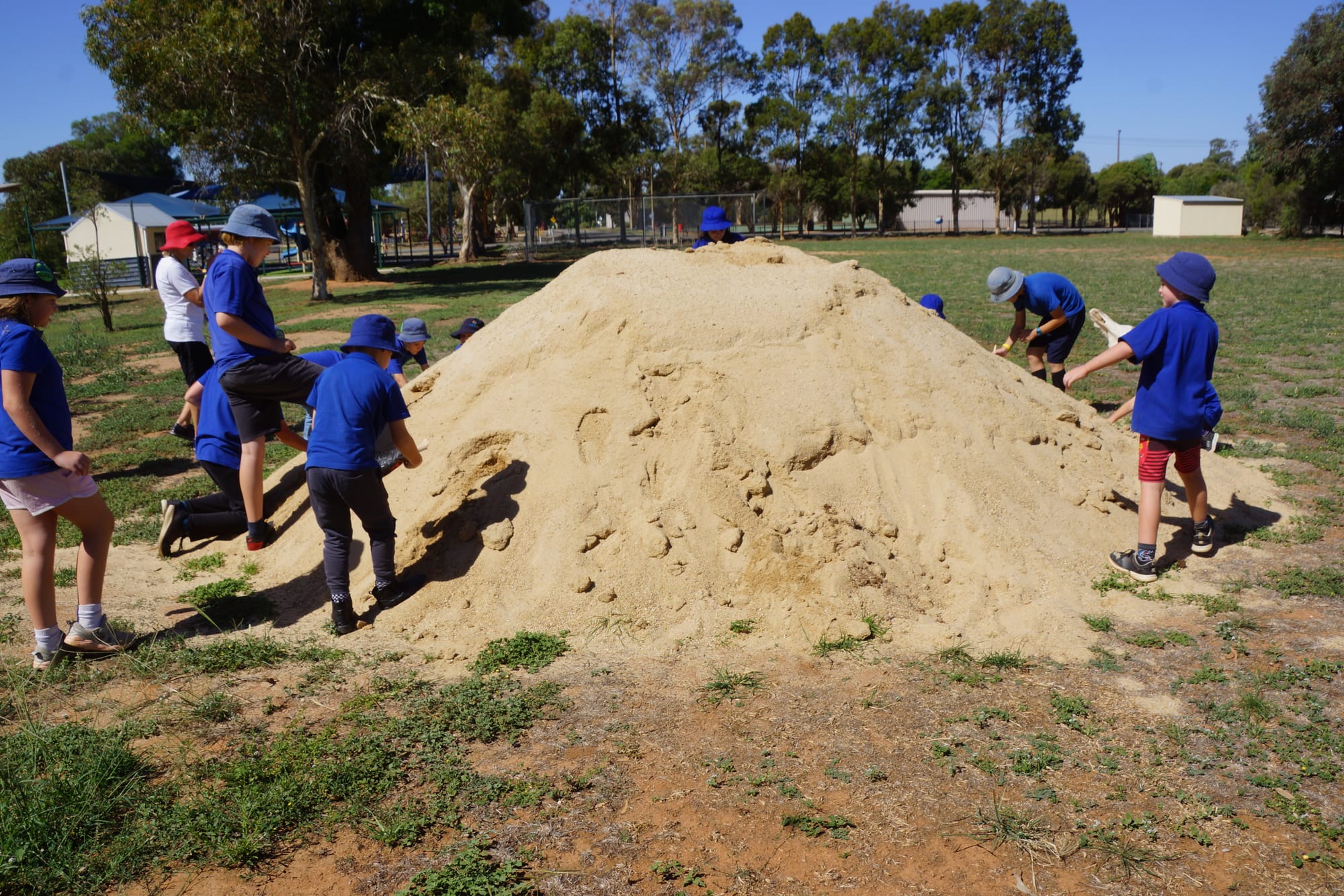 Junior archaeologists ... Students dig for bones in a demonstration of how scientific discoveries can be made.