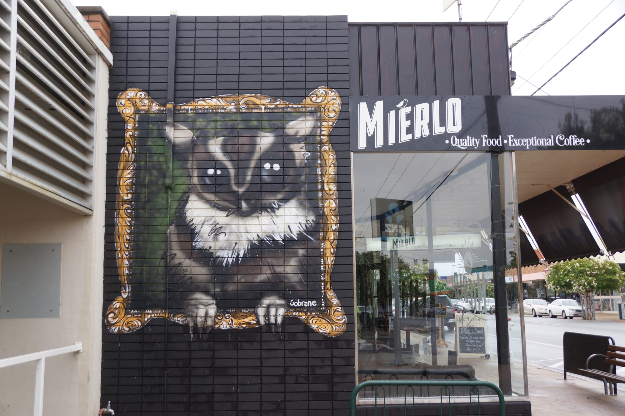 Work of art ... This cheeky sugar glider sat very still whilst its portrait was painted.