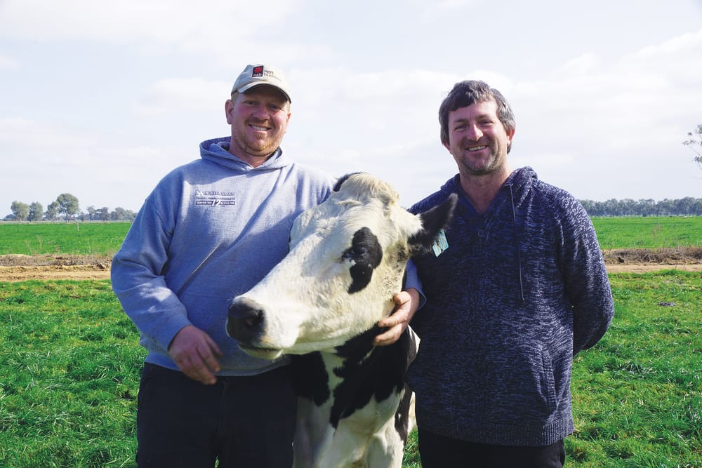 Milking brothers bring home gold and silver in Dairy Australia’s Milk Quality Awards post image