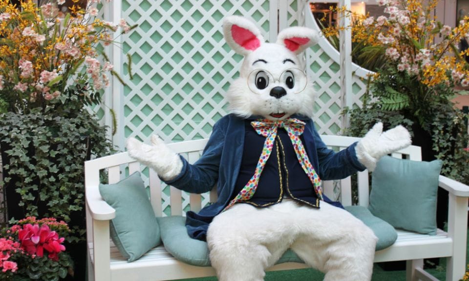 A cuppa with the Easter Bunny post image
