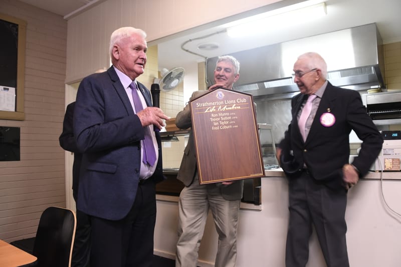 Lion for life post image