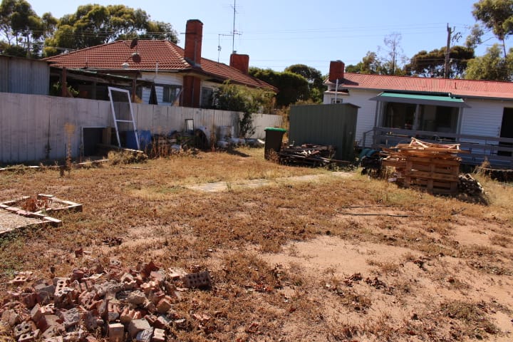 Find food, and community, in the garden post image