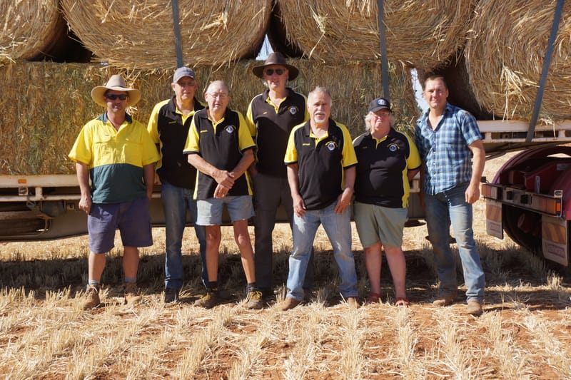 Katty Lions dig deep for fire and drought victims post image