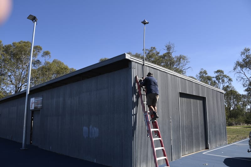 Corellas wreak havoc again post image