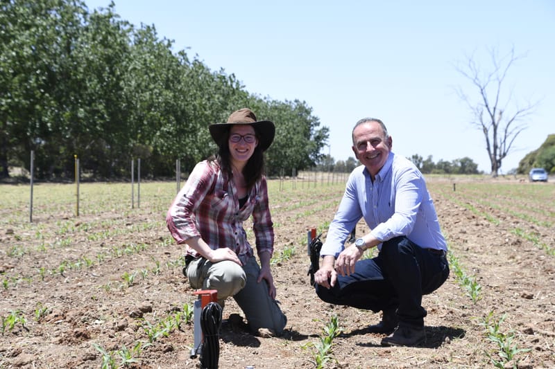 All grow at AgBioEn site post image